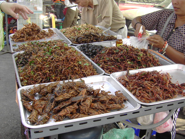 Food Vendor - Bugs.JPG
